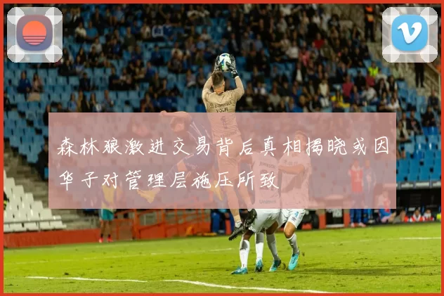 森林狼激进交易背后真相揭晓或因华子对管理层施压所致