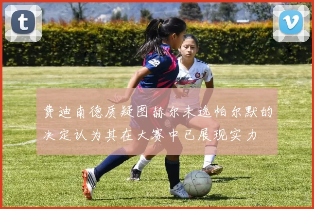 费迪南德质疑图赫尔未选帕尔默的决定认为其在大赛中已展现实力