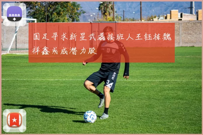 国足寻求新星武磊接班人王钰栋魏祥鑫或成潜力股